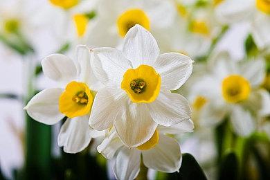 小岛工作室快闪店即将空降上海 预计3月23日开业